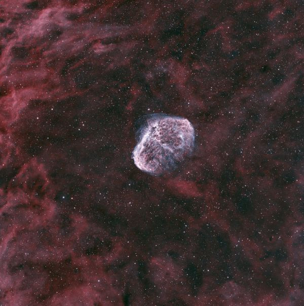 NGC6888 Crescent - Astrophotography