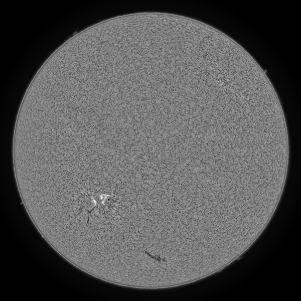 2020.06.08 Sun Full Disk H-Alpha - астрофотография