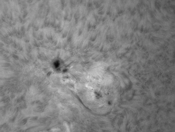 Солнце 18.06.2023 - Активная область-CH 1153 - астрофотография