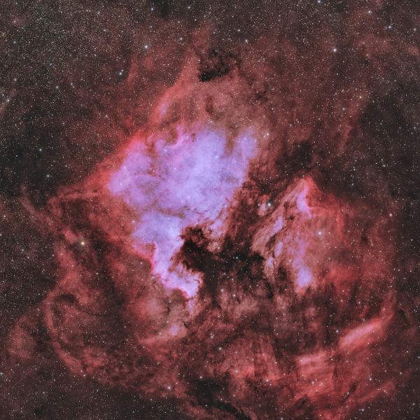 NGC7000 Северная Америка  - астрофотография