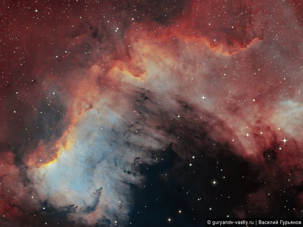 Фрагмент туманности Северная Америка — NGC 7000 — "Стена" - астрофотография