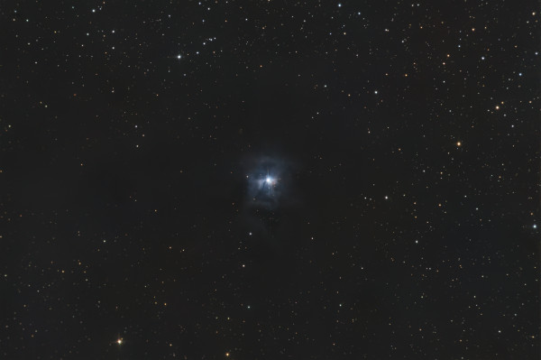 Caldwell 4 - Astrophotography