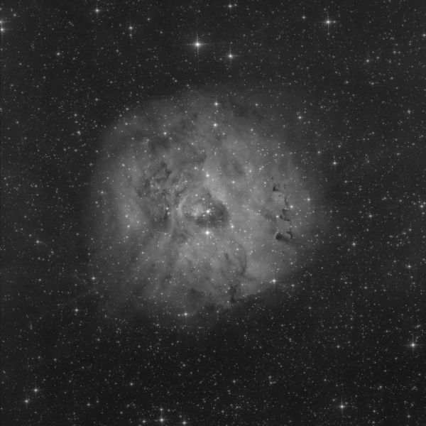 SH-2 170 "Little  Rosette" nebula - астрофотография