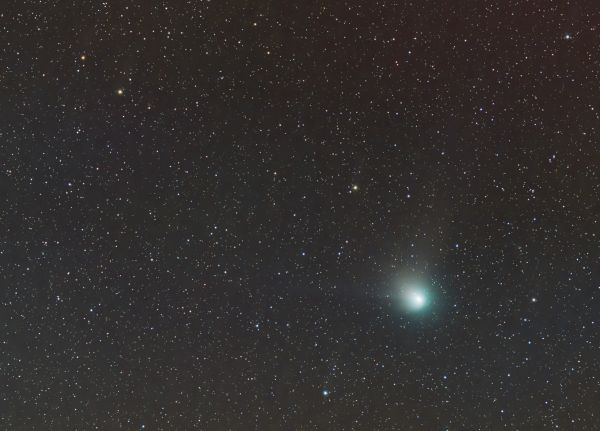 Комета C/2023 E3 (ZTF) 01.02.2023 17.00 UTC - астрофотография