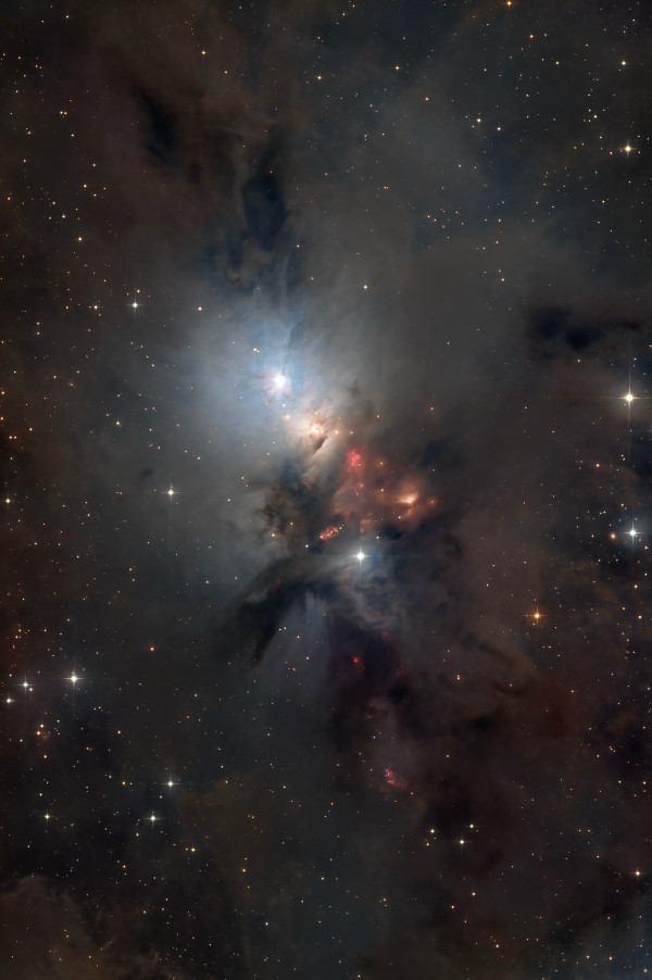 NGC 1333 Embryo - Astrophotography