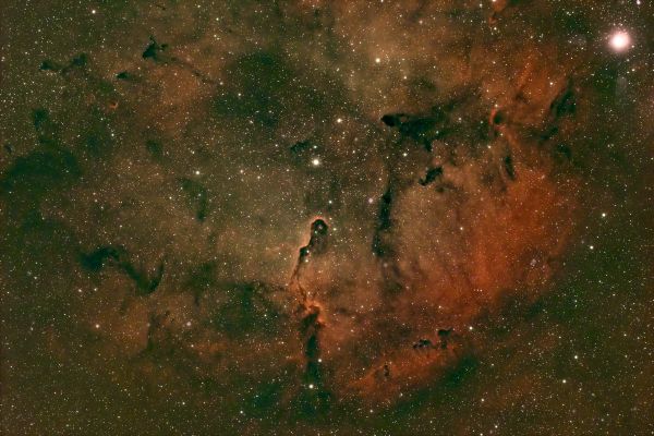 IC 1396 Nebulosa Proboscide d'Elefante (Trunk Nebula) - астрофотография