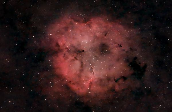 Elephant trunk - Astrophotography