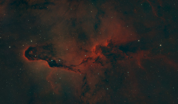 IC 1396A - Elephant Trunk Nebula - Astrophotography