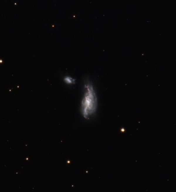 NGC4490 galaxie du cocon - Astrophotography