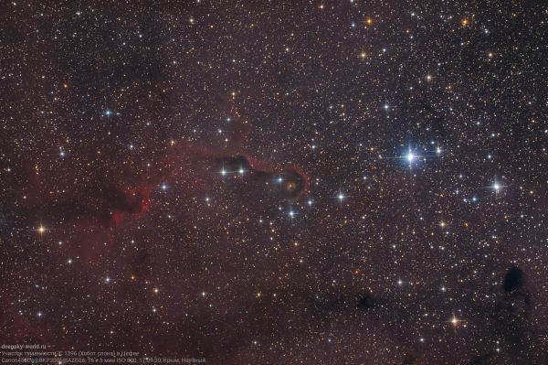Section of the IC 1396 complex (Elephant's Trunk) - Astrophotography