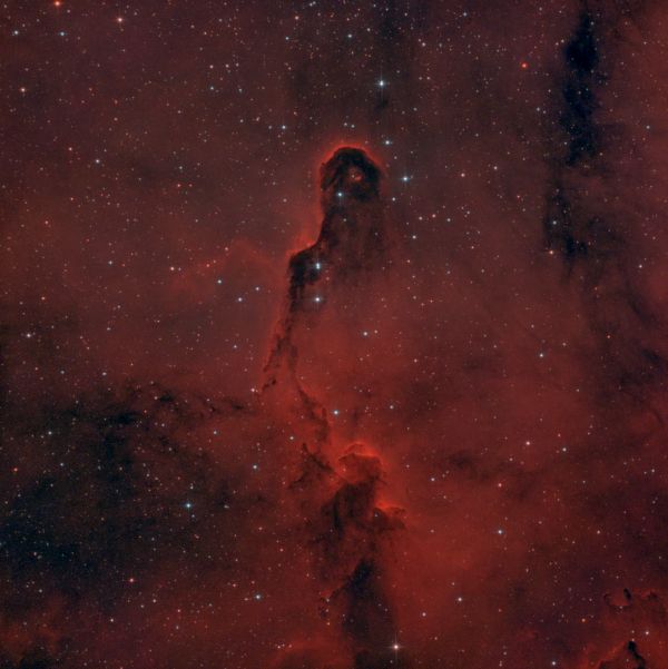 IC 1396 - Хобот Слона - астрофотография
