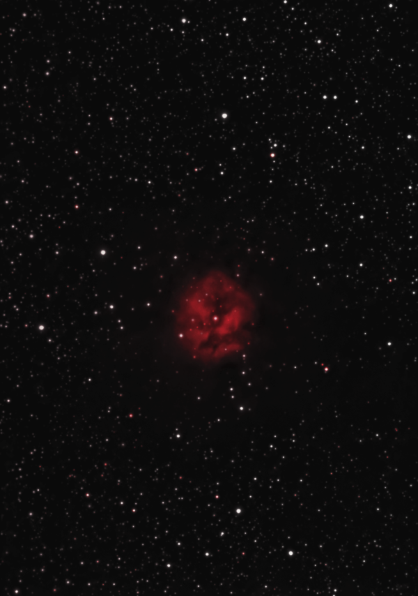 Cocoon Nebula C 19 (NGC 5146) - Astrophotography