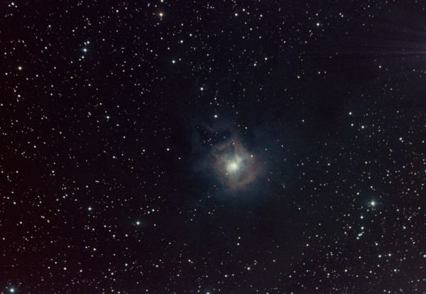 NGC 7023 - Iris Nebula - Astrophotography