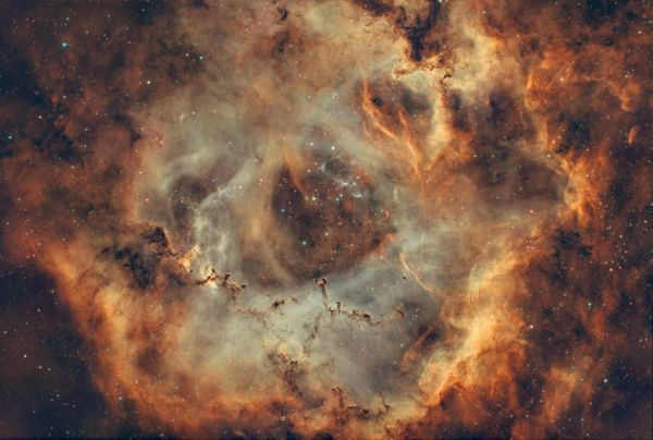 NGC2264 - Rosette V3 (SHO) - Astrophotography