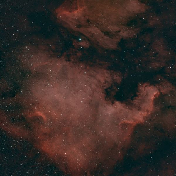 Ngc7000 - Astrophotography