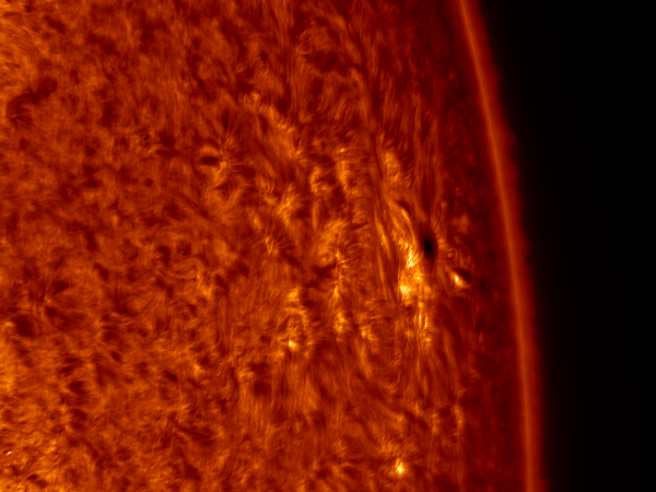 2020.10.25 Sun AR12776 H-Alpha (color) - астрофотография