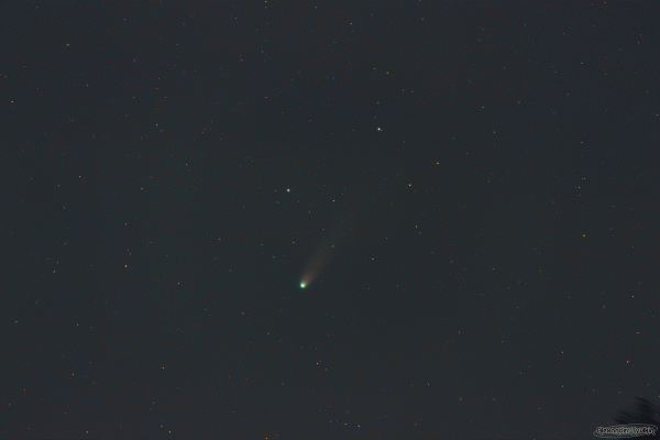 C/2025 A6 (Lemmon) - Astrophotography