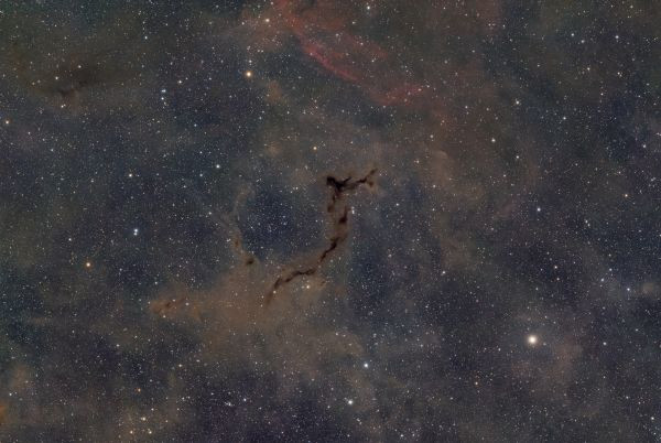 Seahorse Nebula - Astrophotography