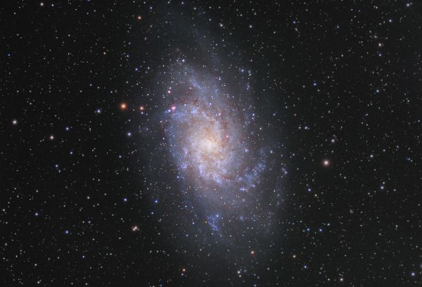 Галактика М33  - астрофотография