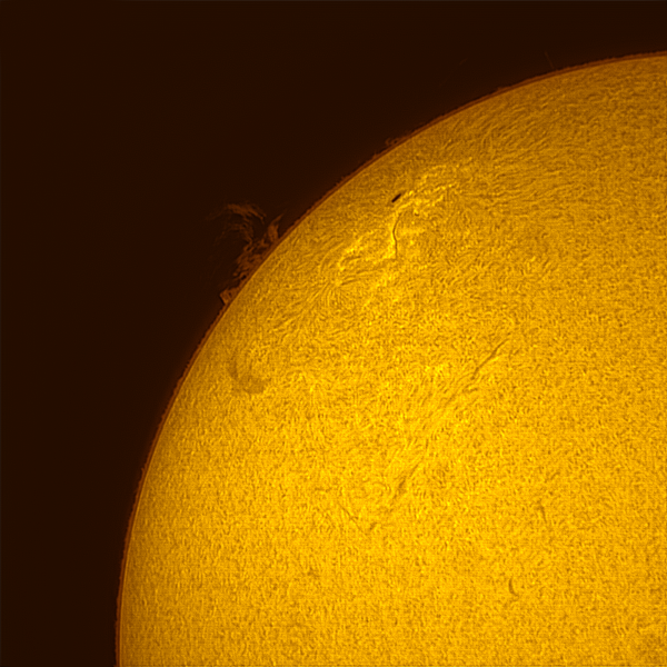 Солнце от 30.07.2023 - астрофотография