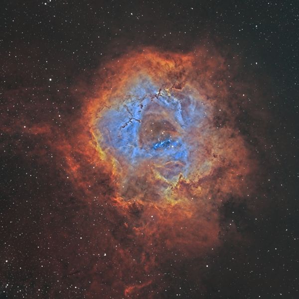 NGC 2237 Rosette nebula (Туманность Розетка) - астрофотография