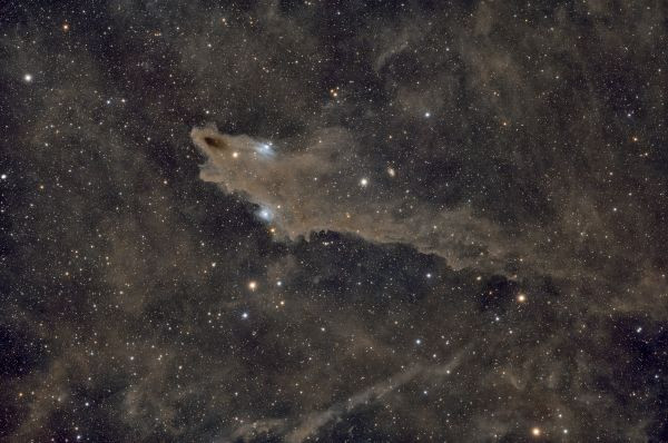 Shark Nebula - LDN 1235 - Astrophotography