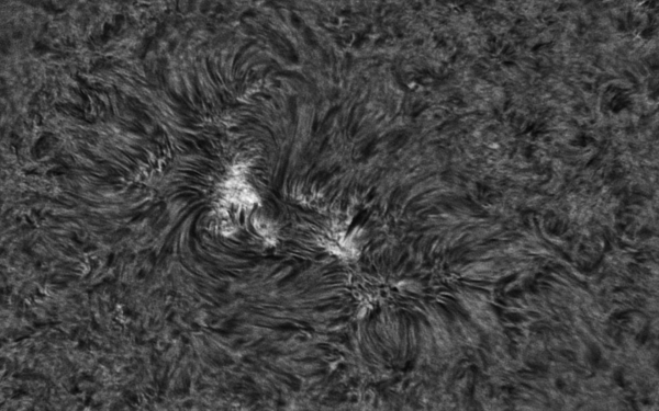 2020.04.04 Sun AR12759 H-Alpha - Astrophotography