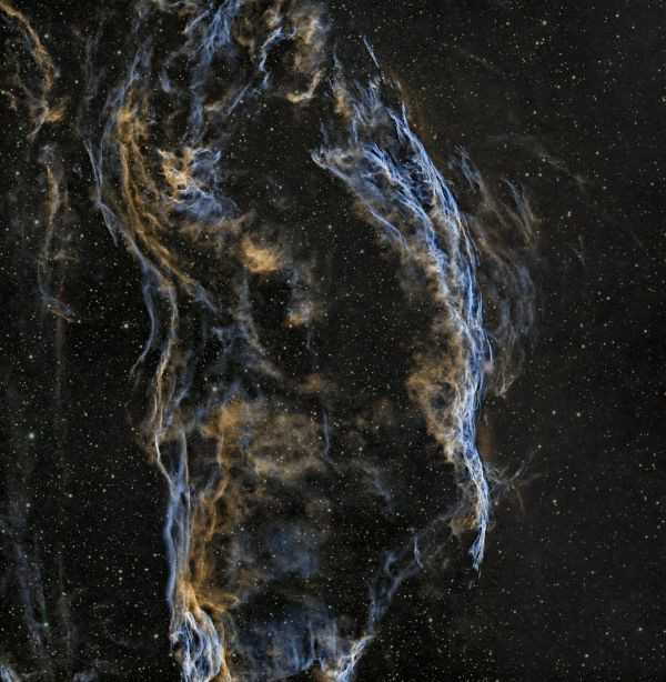 NGC6960 - Western Veil Nebula, RASA 8", 3 hrs (HOO) - Astrophotography