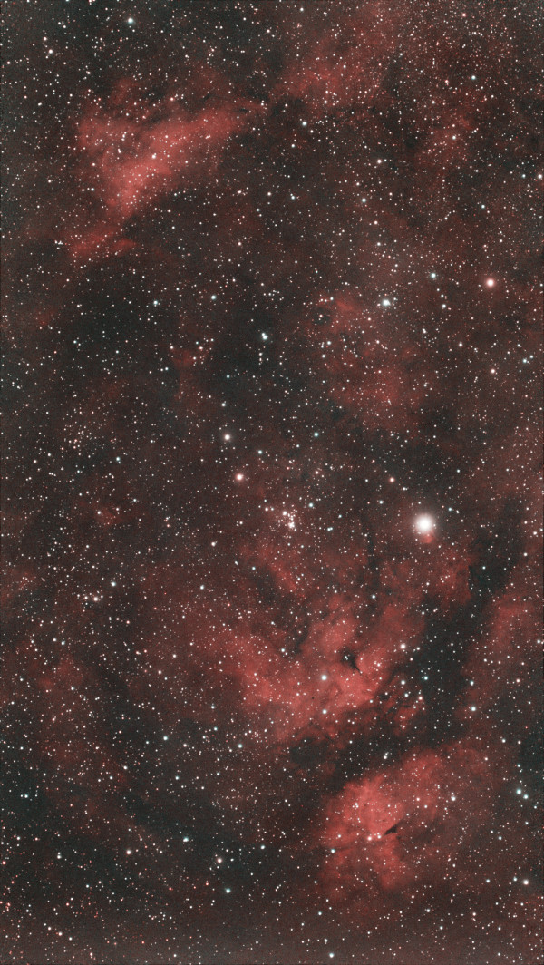 IC1318 (обработанное фото) - Astrophotography