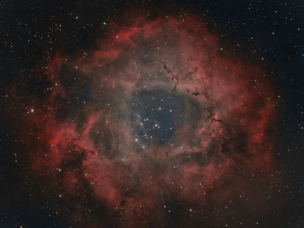 NGC2237 Розетка в HOO - астрофотография