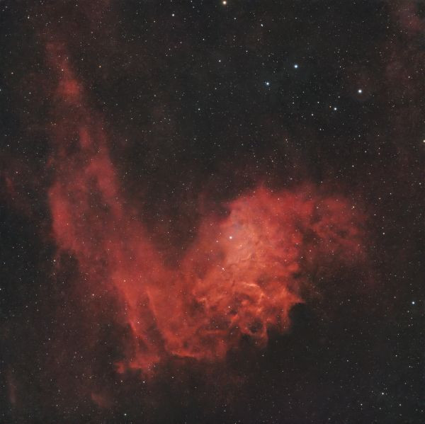 IC405 Flaming Star Nebula - Astrophotography