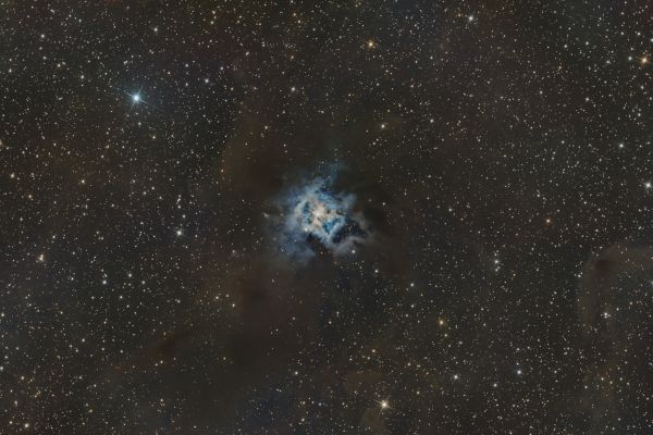 NGC7023 Ирис - астрофотография