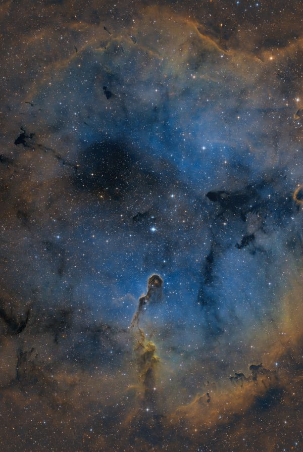 IC 1396 SHO - Astrophotography