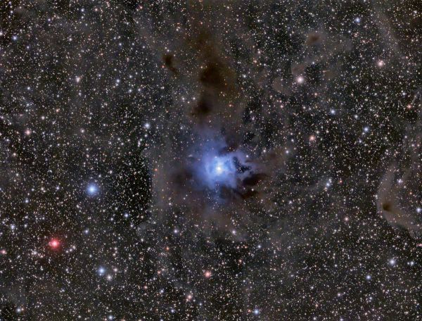NGC 7023, туманность Ирис - астрофотография
