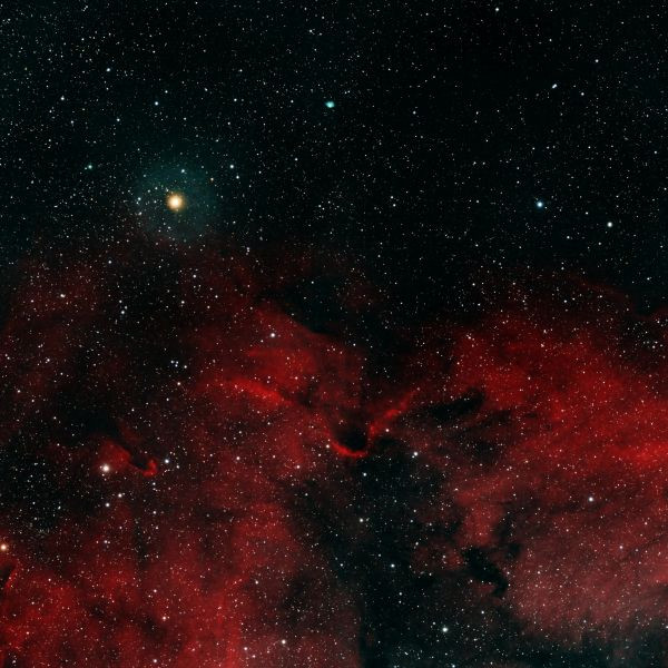 Herschel's Garnet Star (μ Cephei) on the outskirts of IC 1396 - Astrophotography