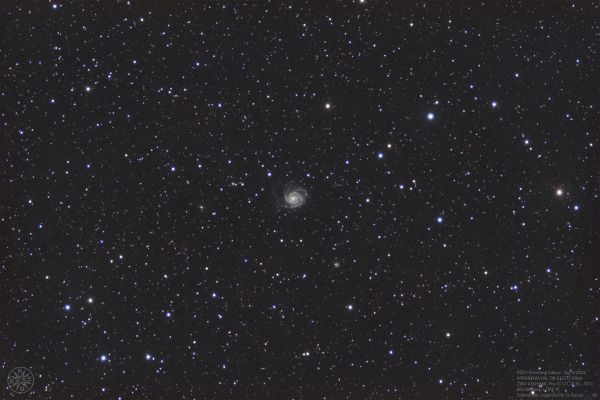 M 101 Pinwheel galaxy - астрофотография