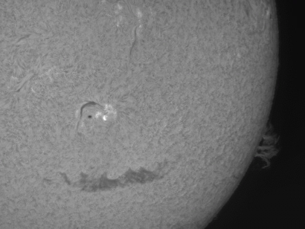Sun (Ha) 24.05.2026 10:46-12:16 UTC+05 - Astrophotography