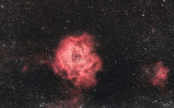 NGC 2237 Rosette nebula SHO faked from dual narrowband filter - астрофотография
