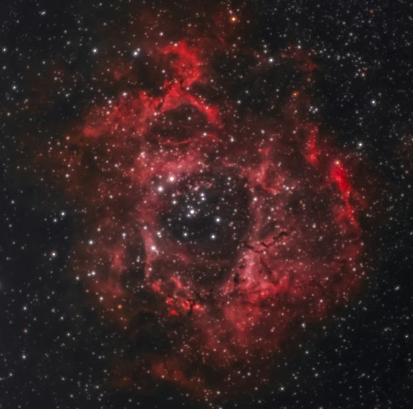 NGC 2237 Rosette Nebula - Astrophotography