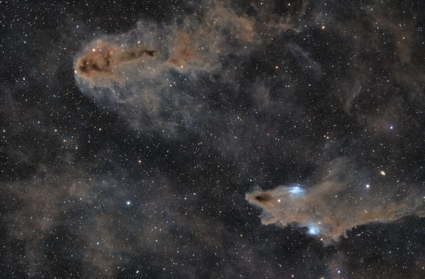 Shark (LDN 1253) vs dead fish (LDN 1251) - Astrophotography