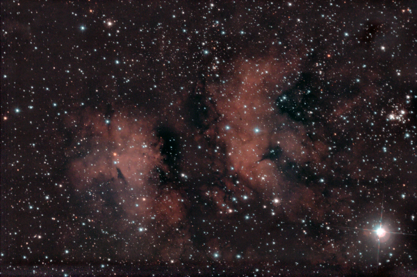 Эмиссионная туманность IC 1318 "Бабочка" и звезда Садр в созвездии Лебедь. 08-09.05.2023 - астрофотография