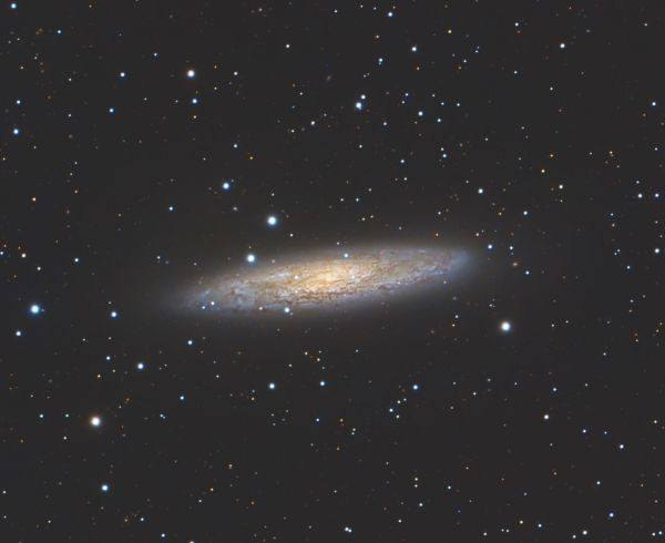 NGC253 Sculptor Galaxy, Silver Coin Galaxy - Astrophotography