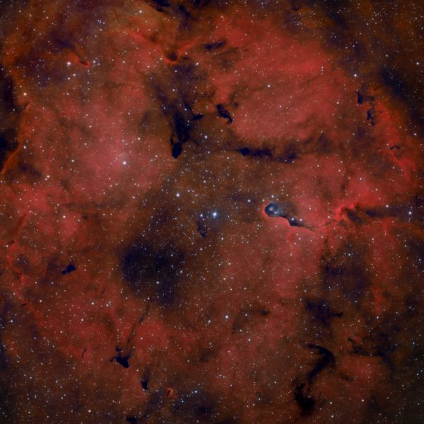 IC1396 - Astrophotography