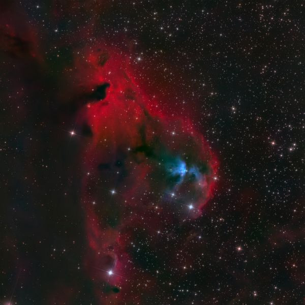 LDN 1584 - Astrophotography