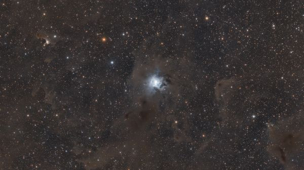 Caldwell 4 - Astrophotography