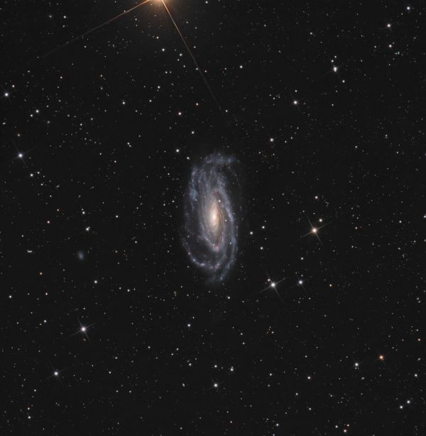 NGC 5033 - Astrophotography