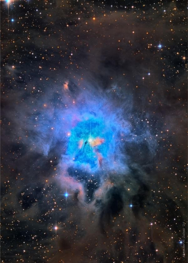 NGC 7023 (Iris) in LRGB filters - Astrophotography