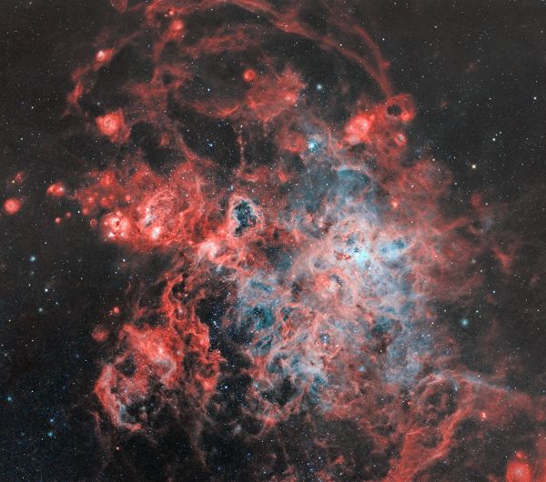 The Tarantula Nebula (NGC 2070) - астрофотография