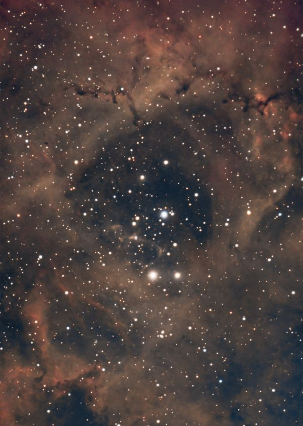 NGC_2244 - Astrophotography