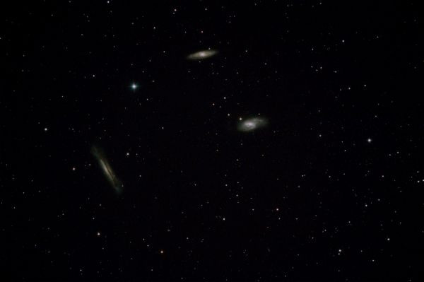 Leo Triplet - M65, M66 and NGC 3628 - Astrophotography
